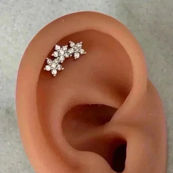 Silver Flower Arch Crystal Flower Cartilage Earring
Brand New - Picture 4 of 4